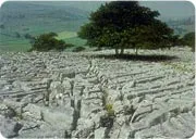 limestonepavement