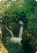 peccafalls